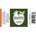 thumbnail image 4 of Healing Solutions 60ml Oils - Eucalyptus Essential Oil - 2 Fluid Ounces, 4 of 5