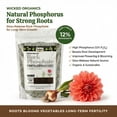thumbnail image 4 of Old Cobblers Farm™ Rock Phosphate 0-12-0 Organic Fertilizer for Root Development, Flowering, Fruiting, Soil Conditioning - Veggies, Flowers, Trees, Shrubs, Lawns (20 lbs), 4 of 12