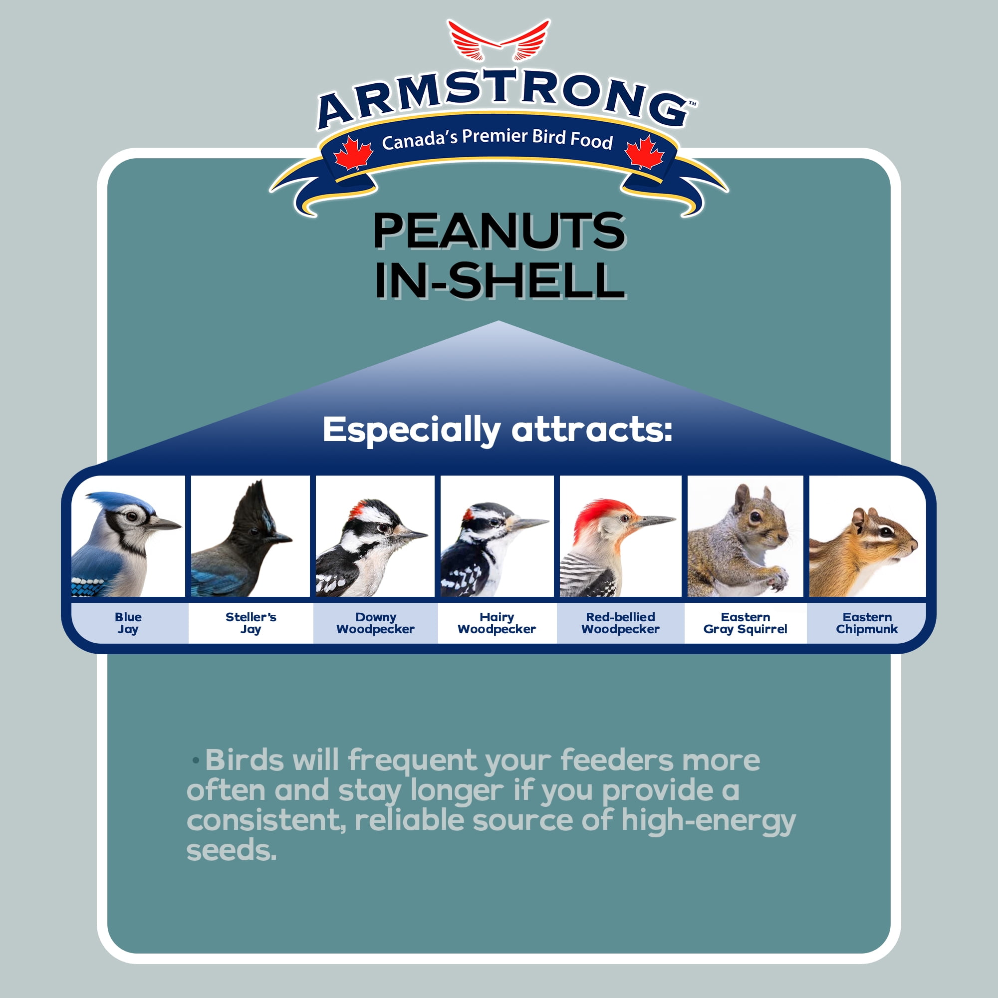 Armstrong Wild Bird Food Peanuts-In-Shell Bird Seed, 6lbs