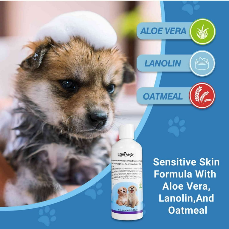 Natural Shampoo for Welsh Terrier and Other Terrier Dogs Over 12 Weeks Of Age Sensitive Skin Treatment with Armoise Oil 10 Ounces