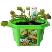Toys By Nature Venus Fly Trap - Fun and Easy to Grow Kids Terrarium Set - Grow Bug Eating Plants - Complete Carnivorous Plant Kit