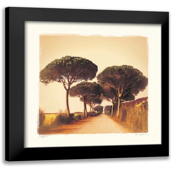 Melious, Amy 12x12 Black Modern Framed Museum Art Print Titled - Viaggio I