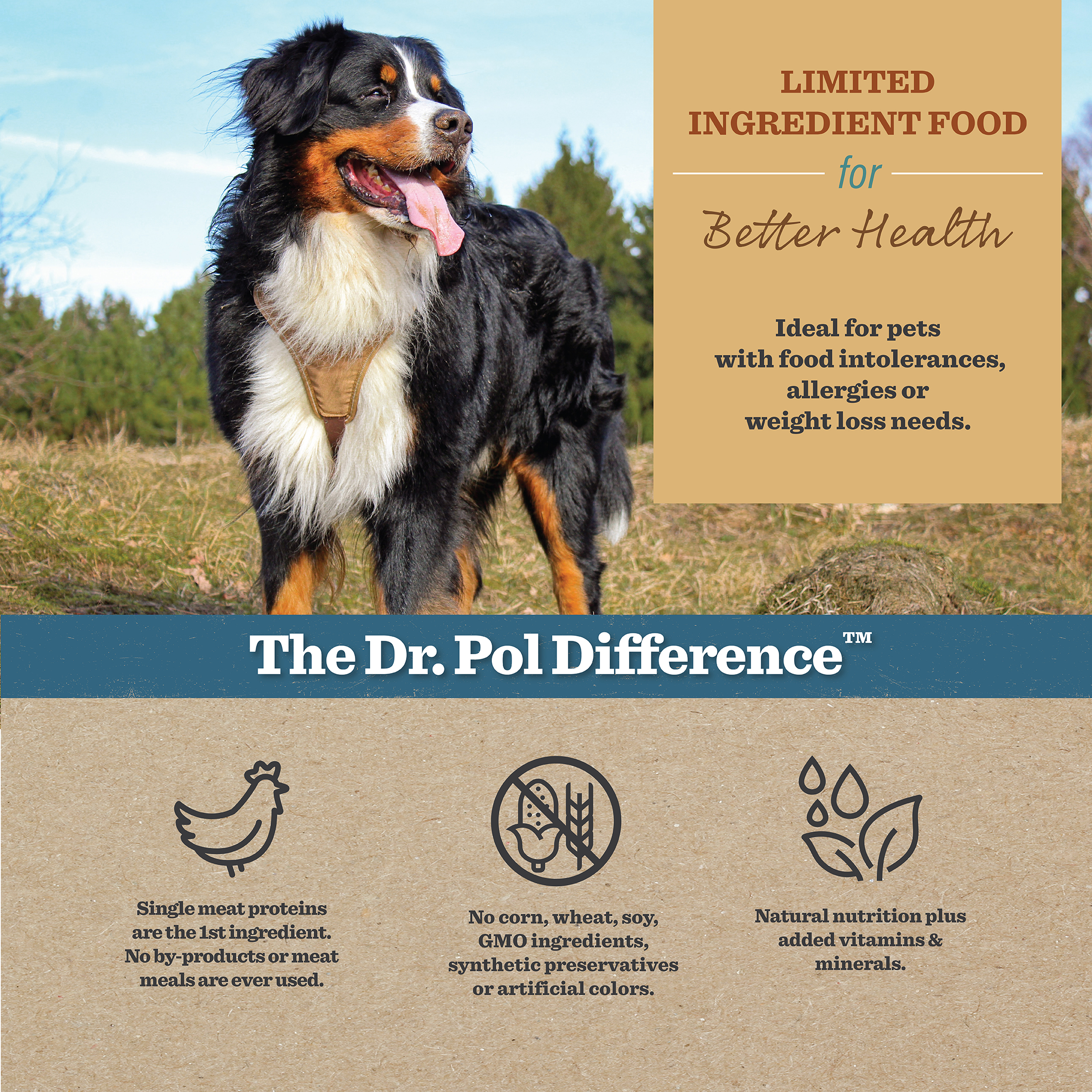 Dr. Pol Limited Ingredient Dry Dog Food, Chicken Recipe photo 4