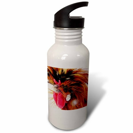 

3dRose Polish Rooster Sports Water Bottle 21oz