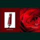 thumbnail image 1 of 3 in 1 Hot Air Brush Hair Dryer and Styler Brush Hair Curler Straightener Brush Negative Ion Dryer, 1 of 2
