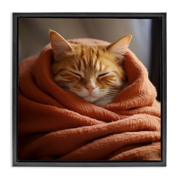 Stupell Industries Modern Cuddling Sleepy Cat Black Floating Frame Canvas Art, 18 x 18, by RB