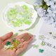 thumbnail image 3 of Kit de pulsera de cuentas acrílicas verdes surtidas (300 piezas, 16 estilos diferentes): cuentas pequeñas, redondas, transparentes, con forma de corazones, flores, estrellas y lazos., 3 of 5