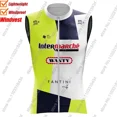 thumbnail image 3 of Chaleco cortavientos del equipo de EE. UU. 2024, chaleco de ciclismo de Estados Unidos a prueba de viento, maillot de ciclismo de carretera, ropa sin mangas, maillot de ciclismo de montaña, 3 of 5