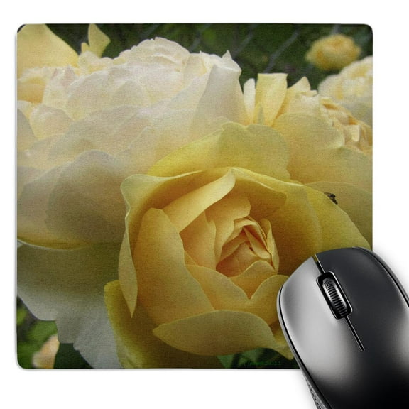3dRose, Yellow Roses, MousePad