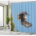 thumbnail image 4 of Ambesonne Idaho Shower Curtain, American Bald Eagle Photo, 69"Wx84"L, Olive Green and Sky Blue, 4 of 4