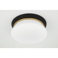 thumbnail image 4 of H425502-PN/BK-Mitzi-Cath-2 Light Flush Mount in Transitional Style-12.75 Inches Wide by 5 Inches High-Polished Nickel/Black Finish, 4 of 6