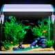 thumbnail image 5 of Luz LED para acuario 28 cm / 11,02 pulgadas Luz para pecera de 5,12 pulgadas Soportes exten Eccomum CLORURO DE POLIVINILO, 5 of 7