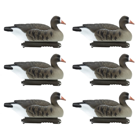 Final Approach Last Pass Specklebelly Goose Floating Decoys, 6 Pack