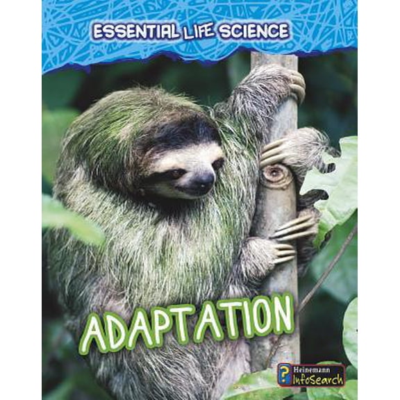 Pre-Owned Adaptation