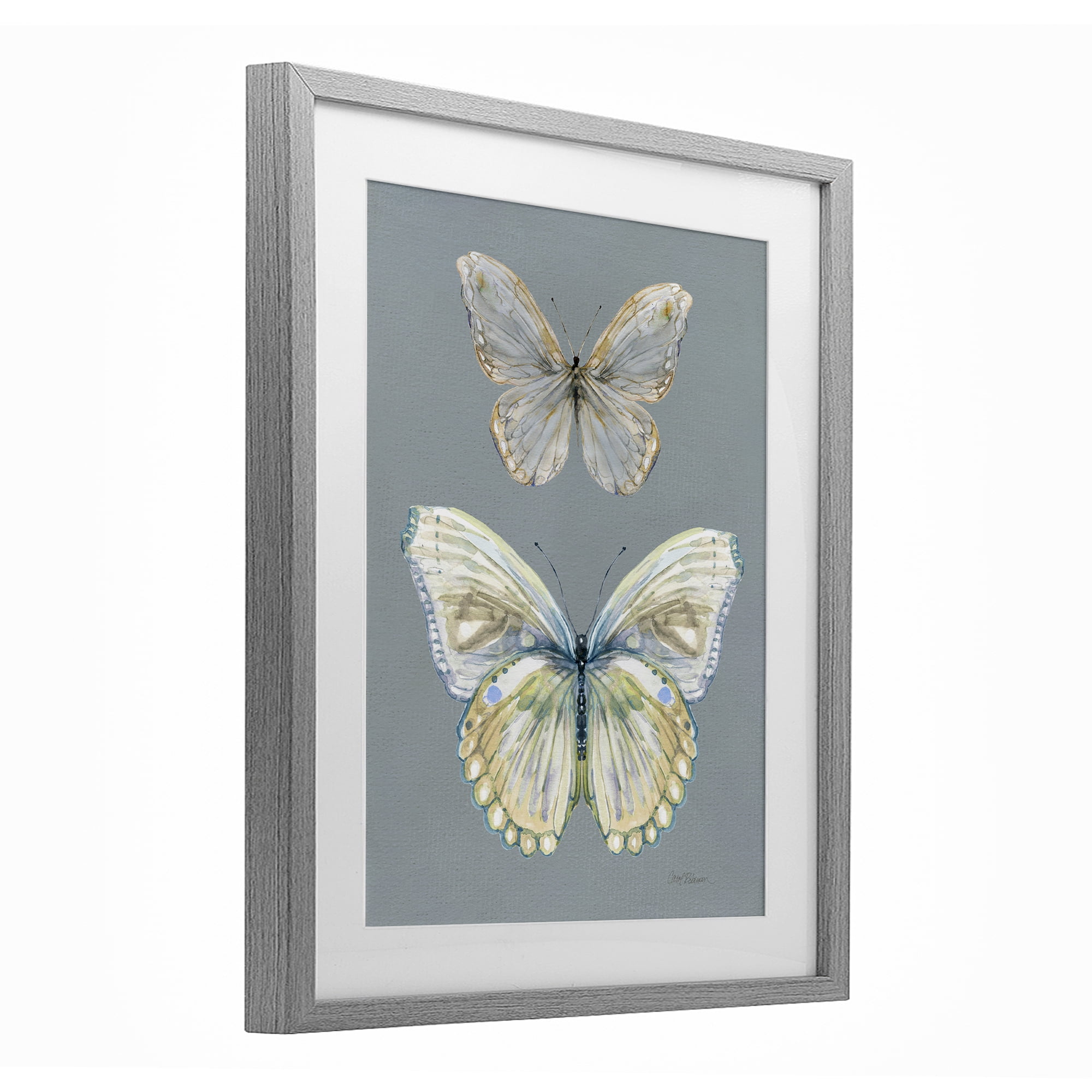 Stupell Industries Butterfly Pair Study Gray Framed Print Under Glass, design by Carol Robinson