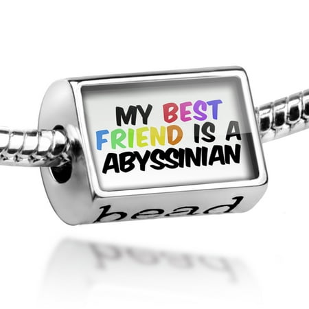 Bead My best Friend a Abyssinian Cat from Egypt Charm Fits All European