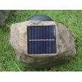 thumbnail image 3 of Luz solar de jardín de simulación, luz de jardín al aire libre, foco de decoración de césped y jardín al aire libre (luz blanca, luz cálida, ajustable en dos niveles) JM, 3 of 5