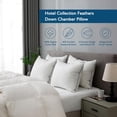 thumbnail image 2 of Dafinner Hypoallergenic 3‑Chamber Goose Feather Down Core Bed Pillows, King Size Set of 2, With Microfiber Surround, Soft-Medium Support For All Sleepers (20x36, White), 2 of 9