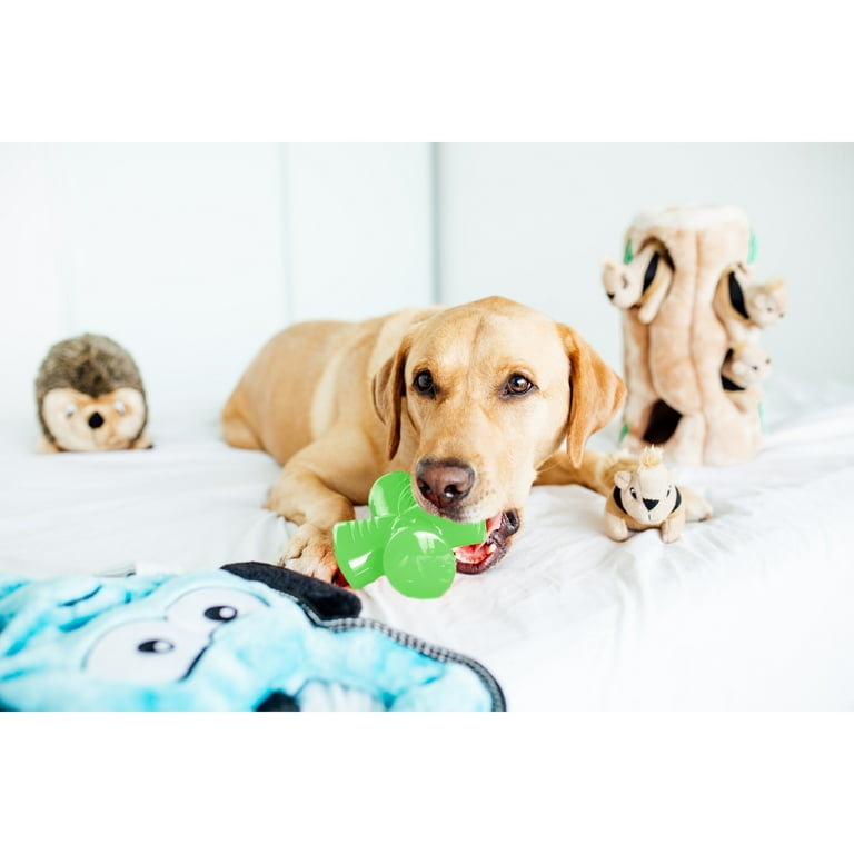 Bionic by Outward Hound Stuffer Durable Dog Chew Toy Green One