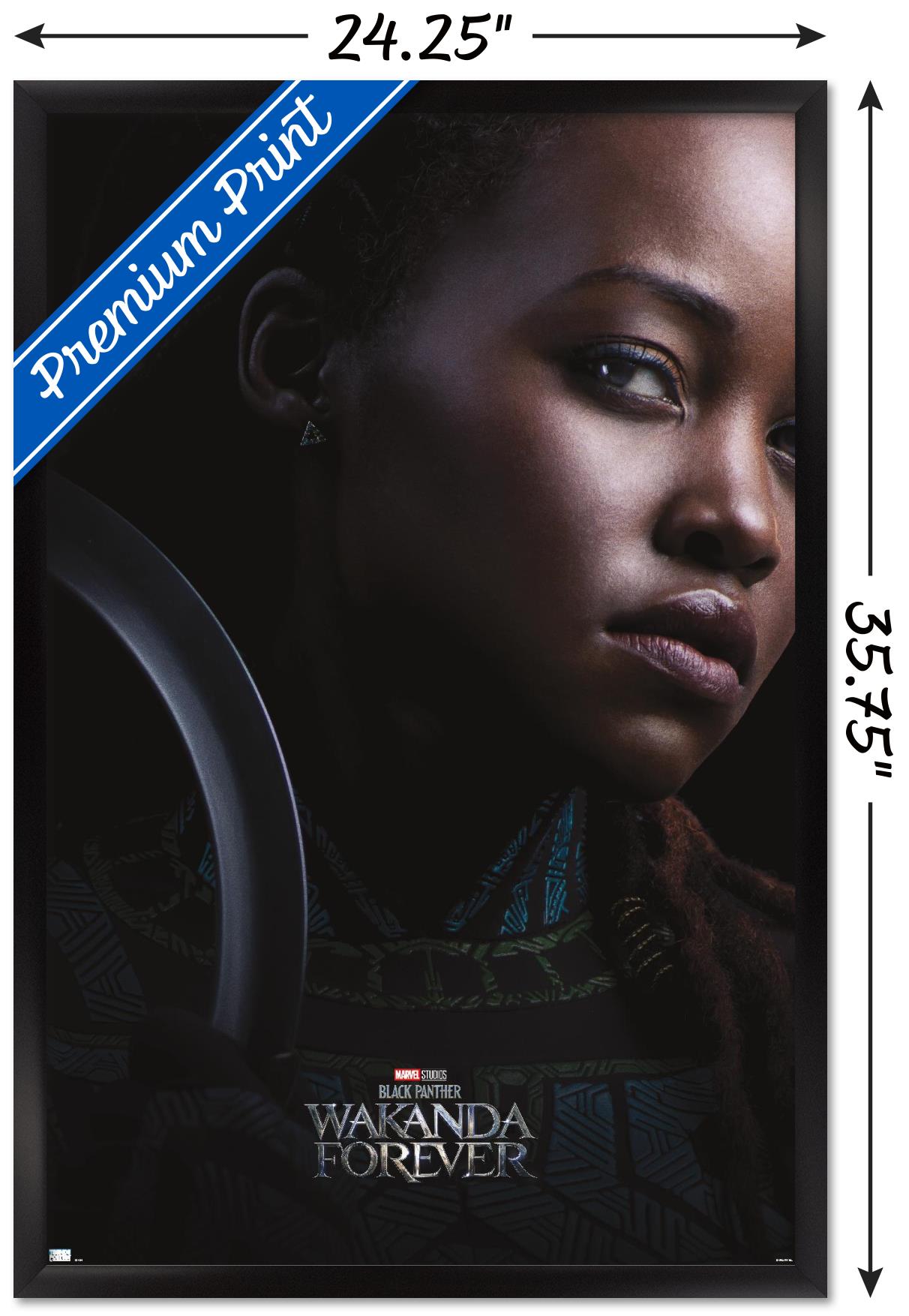 Marvel Black Panther: Wakanda Forever - Nakia One Sheet Wall Poster, 22.375" x 34" Framed