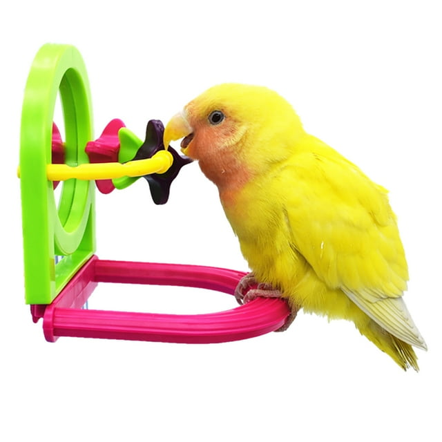Support Perchoir pour Oiseaux Jouet à Mâcher Perroquet Coloré en Plastique avec Cloche