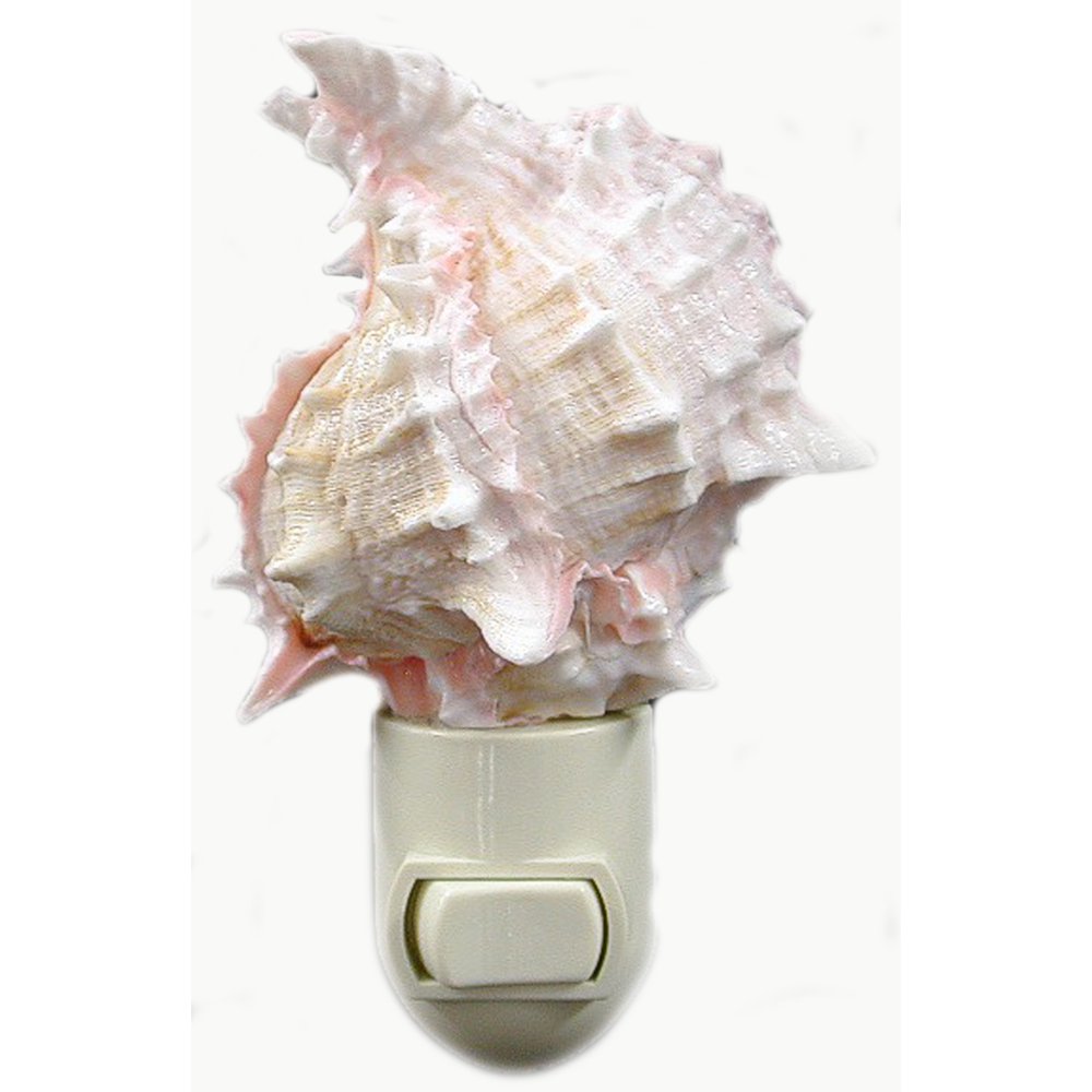 Seashell Night Light Real Pink Murex Shell Beach Decor w. on/off switch