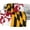Bees Honey, variant on Maryland Flag Flannel Fleece Throw Blanket 50"x60", Living Room/Bedroom/Sofa Couch Warm Soft Bed Blanket for Girls Boys Adults All Season Ultra Soft