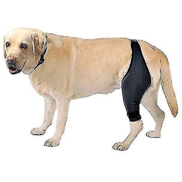 M Rodillera para perros para guiñada, rótula dislocada y artritis: mantiene la articulación caliente
