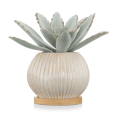 thumbnail image 1 of Bouclair Succulente Verte en Pot Céramique, 1 of 6