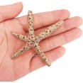 thumbnail image 2 of 2 piezas Metal estrella de mar horquilla pinzas para el cabello accesorios para el cabello, 2 of 5