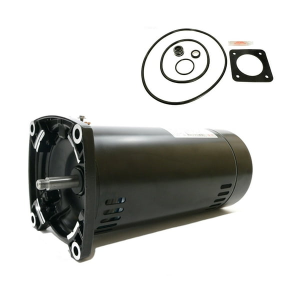 Puri Tech Sta-Rite Dura-Glas 1HP P2RA5E-181L Replacement Motor Kit AO Smith USQ1102 with GO-KIT-54