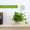thumbnail image 2 of Samfox Plant Watering, House Plants Flowers Automatic Self Watering System Glass Watering Device, 2 of 7