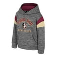 thumbnail image 2 of Toddler Colosseum Gray Florida State Seminoles Wizard City Hoodie, 2 of 3
