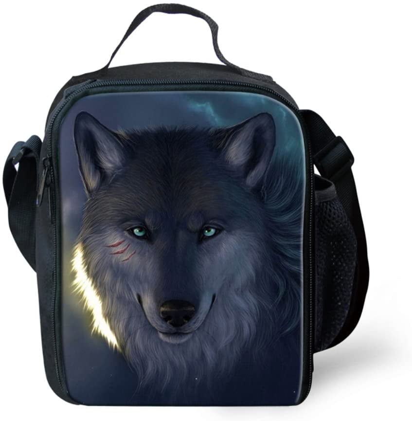 HUGS IDEA Children School Backpack Set Animal Fox Pattern Shoulder Bookbag with Insulted Lunch Bag 