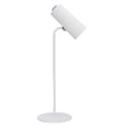thumbnail image 1 of Desk Light, Adjustable Angle Eye Caring Unique Desk Lamp with Sunset Projection for Study, 1 of 7