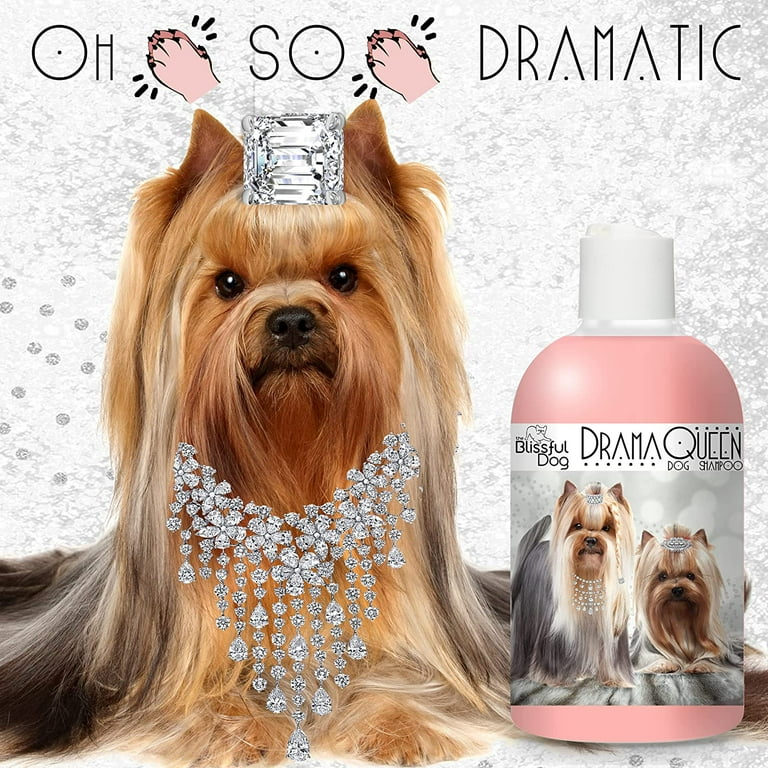 Dandruff shampoo for dogs walmart hot sale