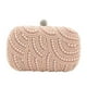 thumbnail image 1 of Sonducket Lleve lo esencial con estilo con un bolso de moda, bolsos de noche, bolsos de mano, regalos, amplia aplicación Bolsas de mensajero y de hombro rosa desnudo, 1 of 6