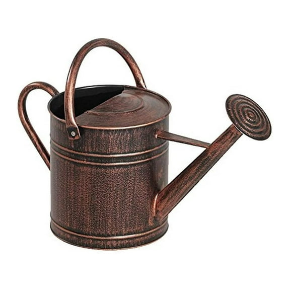 84872 2 Gallon Brushed Bronze Watering Can
