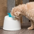 thumbnail image 4 of IRIS USA Pet Water Fountain for Cats and Dogs, White/Blue, 4 of 8