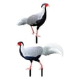 thumbnail image 2 of Estatua de animales de pollo Zulema estacas de jardín decoración acrílico resistente a la intemperie, 2 of 8