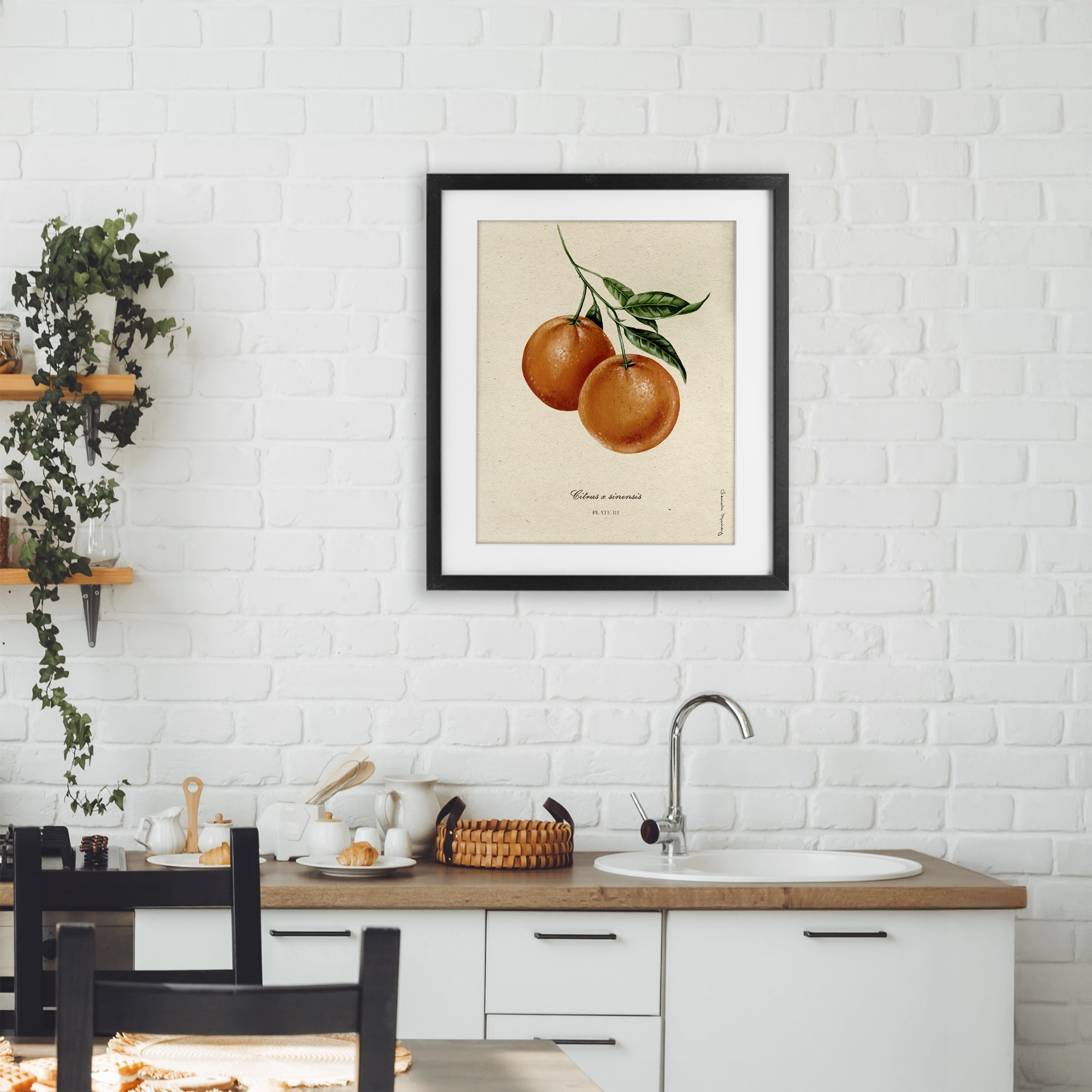 Stupell Industries Orange Fruit Portrait Black Framed Print Under Glass, design by Danielle Murray