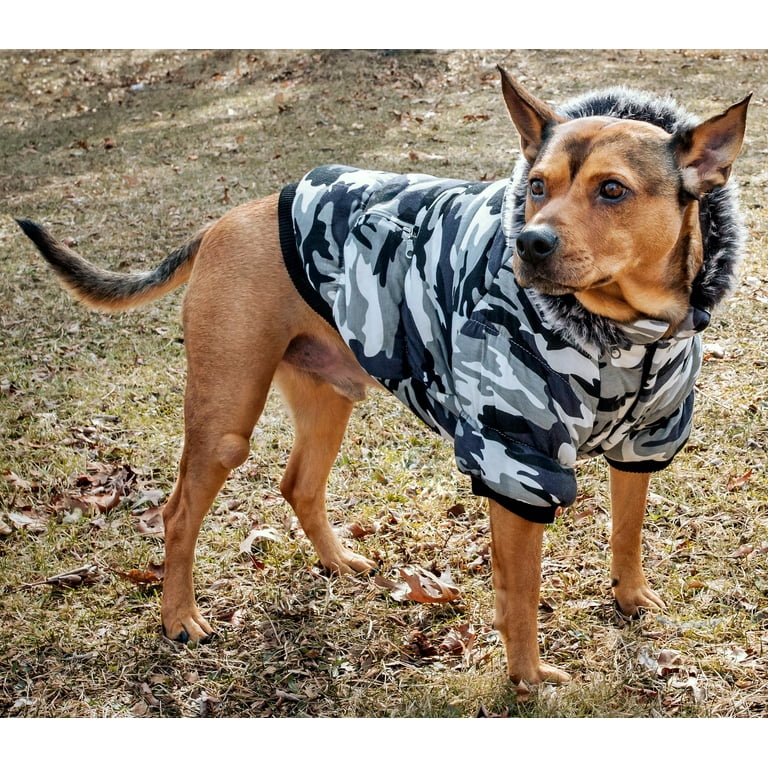 Thinsulate dog hotsell coat