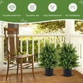 thumbnail image 4 of 21.5” Artificial Cedar Topiary Trees Set of 2, Faux Boxwood Plants w/Cement Pot & Wood Trunk, Decorative Fake Greenery Artificial Plants Outdoor for Home, Office, Garden, Porch, Front Door, 4 of 18