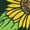 FOREST GREEN, variant on - Sunflower Seeds Short Sleeve Graphic T-Shirt