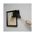 thumbnail image 5 of Boardwalk Professional Ostrich Feather Duster, 10" Handle, 5 of 7