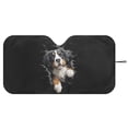 thumbnail image 3 of Xixirimido Car Windshield Sun Shade Car Sun Visor Block UV Rays Foldable Automotive Windshield Sunshades Front Window Sun Blocker Keep Your Vehicle Cool, Bernese Mountain Dog Black, 3 of 8