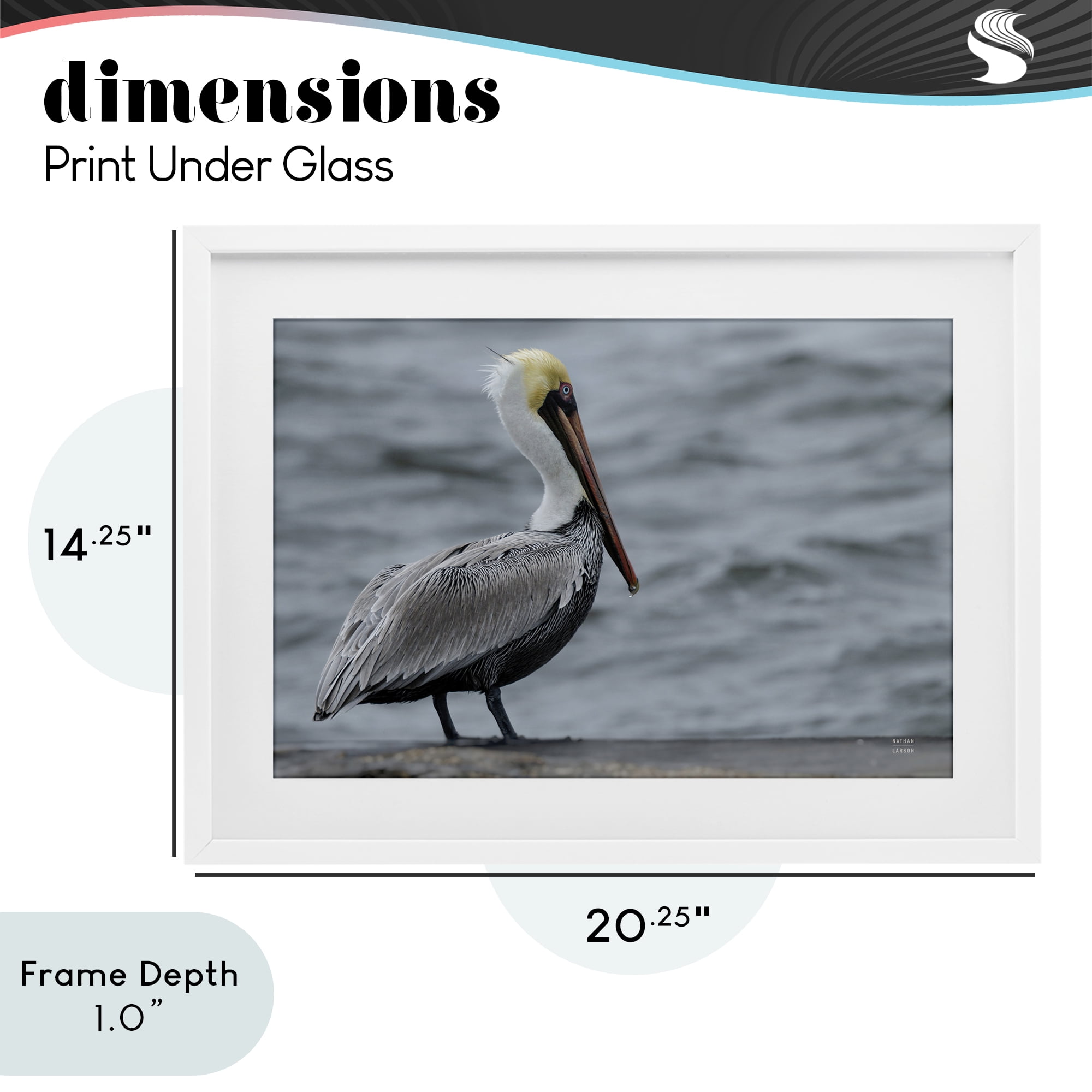Stupell Industries Pelican Watch Photography White Framed Print Under Glass, design by Nathan Larson