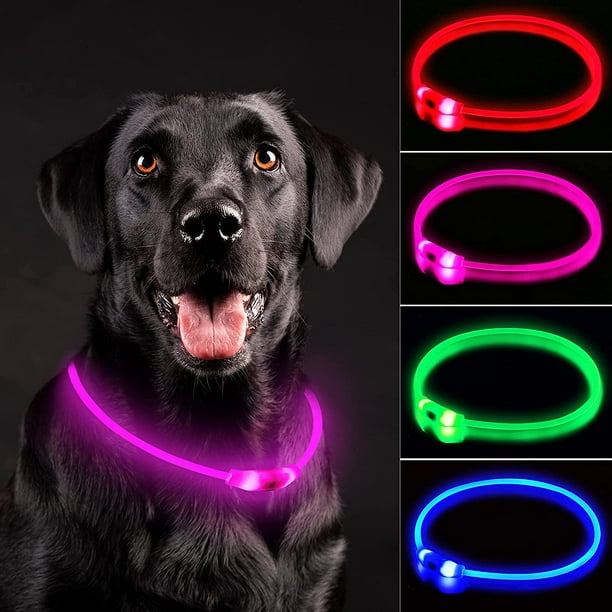 Dog collar top light rechargeable