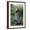 Brown Frame, variant on Art.com A Garden Harvest Giclee Print by Frederick Smallfield, 12" x 18"