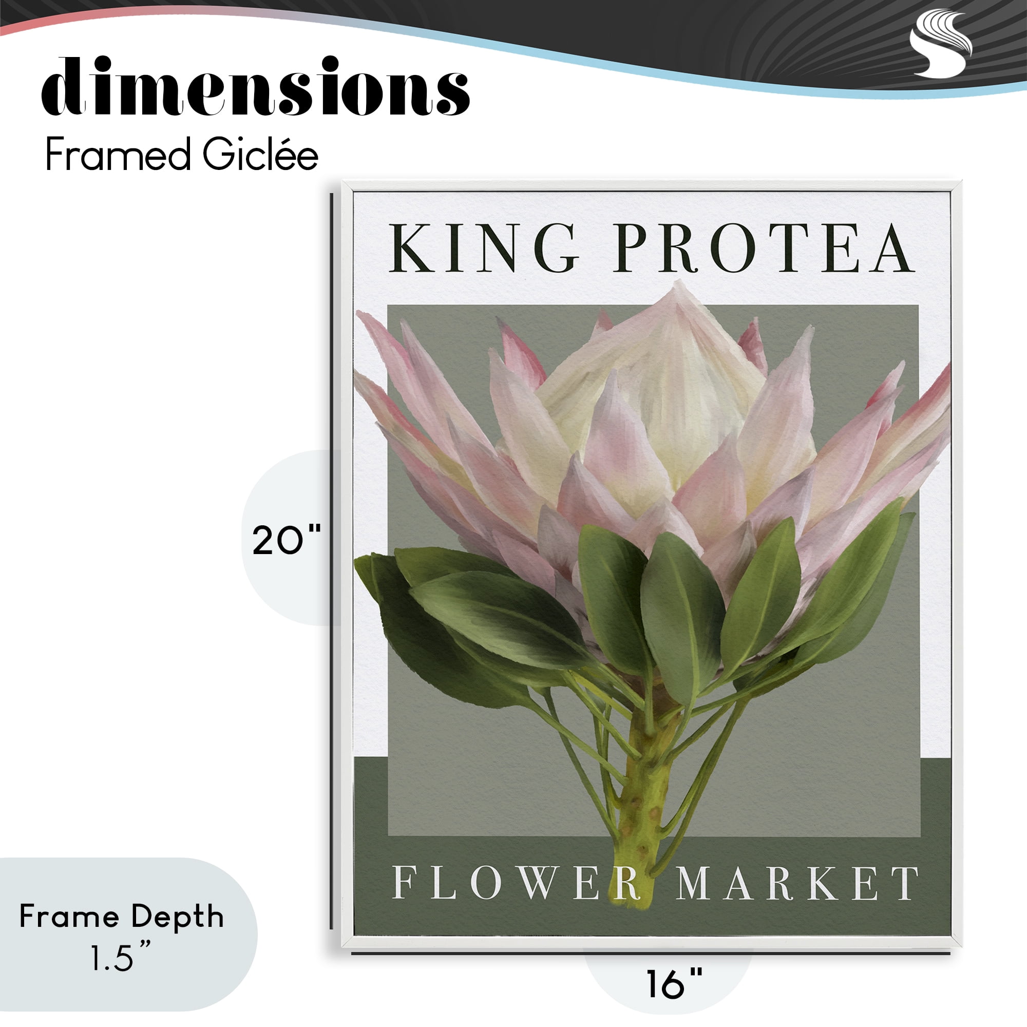 Stupell Industries King Protea Flower Market White Framed Giclee Art, design by Jennifer Stith